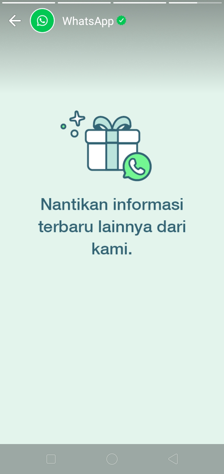 Pagi Ini Muncul Pemberitahuan Status Whatsapp ke Pengguna, Ada Apa? 