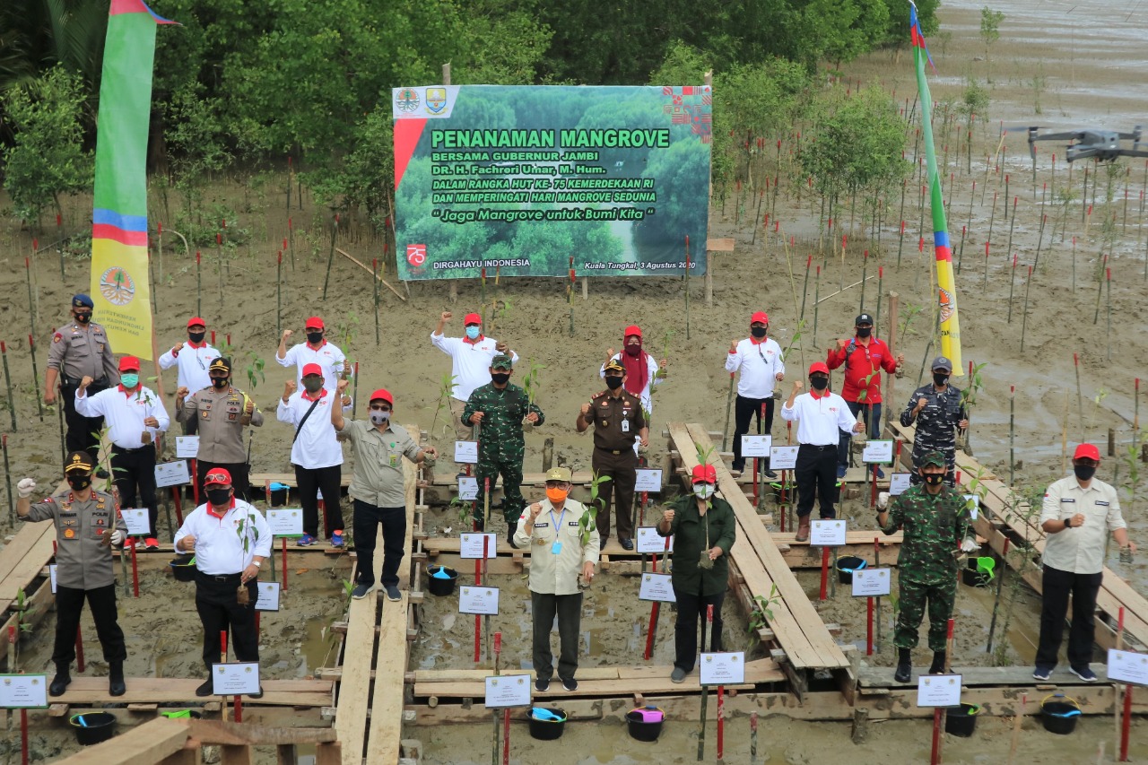 Peringati Hari Magrove Sedunia, Safrial Bersama Gubernur Jambi Tanam Mangrove Bersama