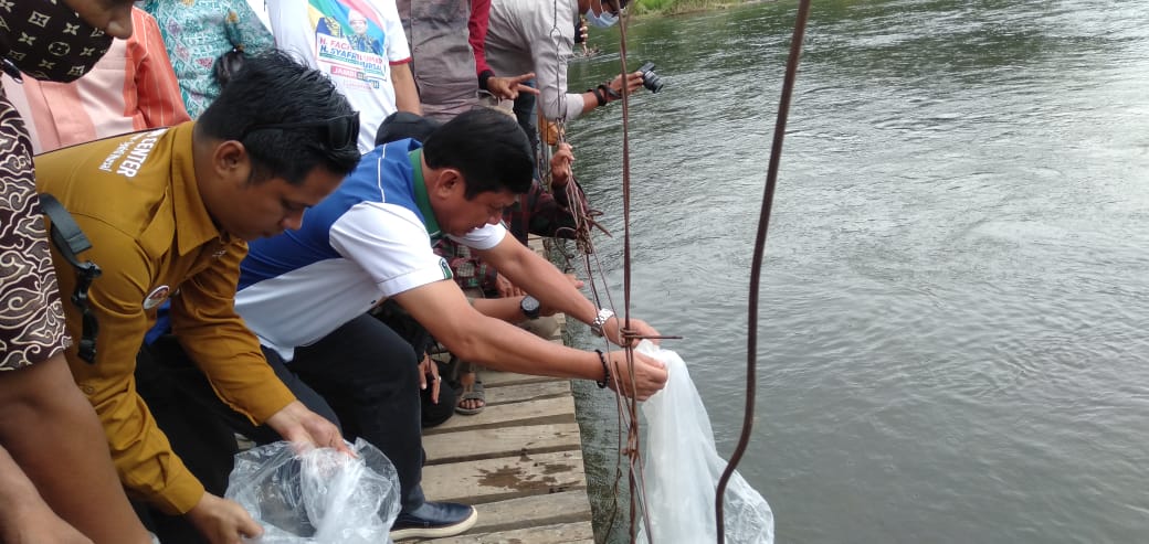 Cawagub Syafril Nursal Sebar Benih Ikan Semah di Tepian Lubuk Larangan 