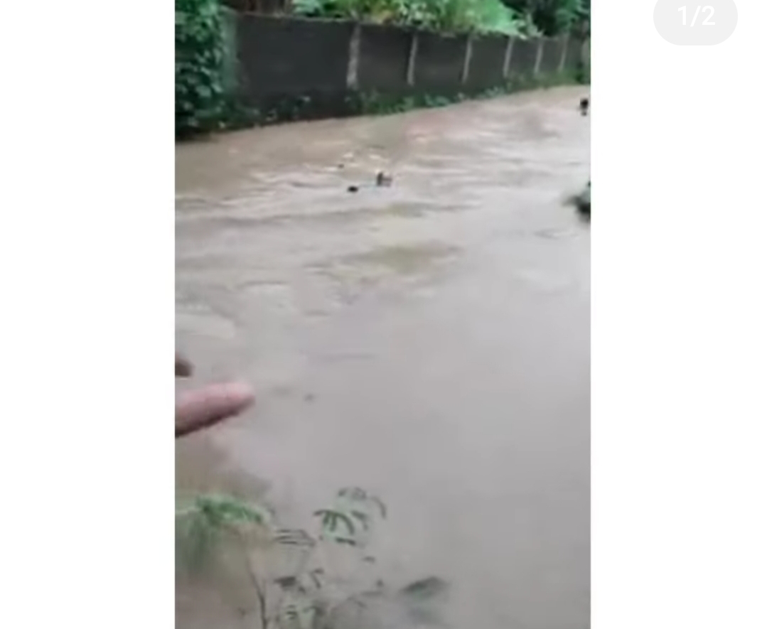 Viral.. Seorang Anak Terseret Arus Banjir