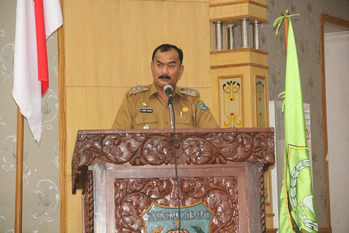 Wabup H. Amir Sakib Hadiri  Seminar Hari Pahlawan