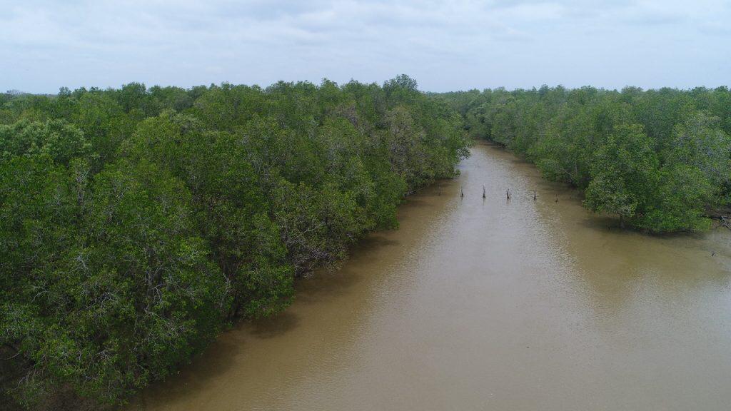 Tanjabbar Segera Kembangkan Eko Wisata Mangrove