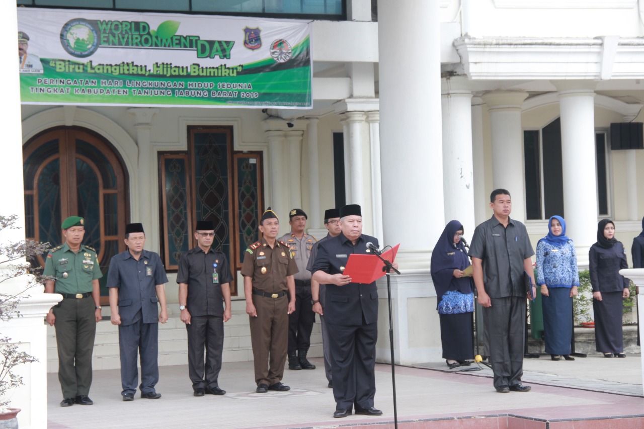 Safrial : Upaya Pengendalian Polusi Udara Dengan Menanam Pohon