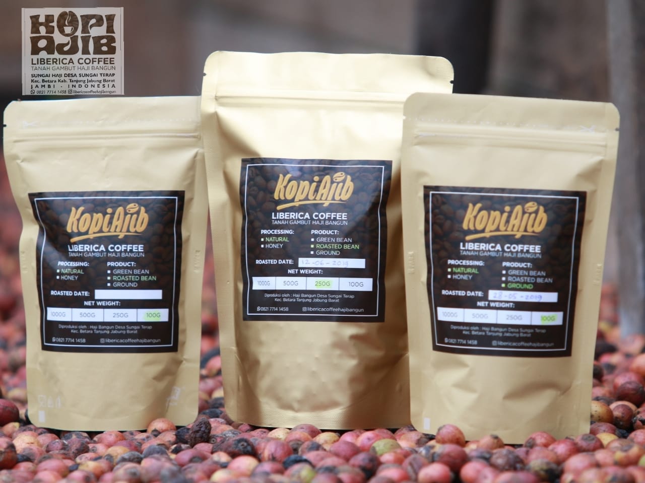 Pasar Nasional Mulai Lirik Kopi Liberika Tanjabbar