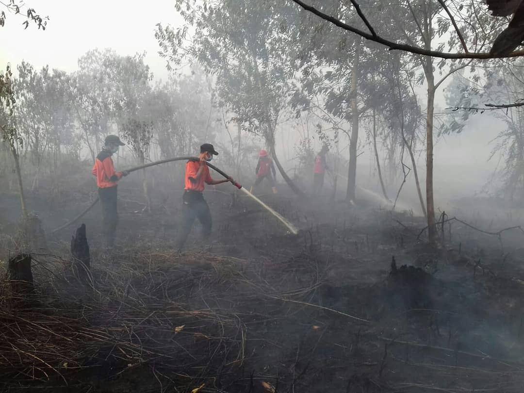 KELOMPOK SMB KEROYOK PETUGAS KARHUTLA JAMBI, INI KRONOLOGISNYA