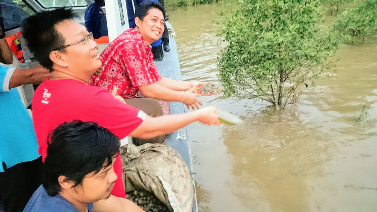 Pantai Pengabuan Menjadi Budidaya 4 Ton Kerang Dara