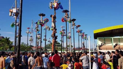 Hari Ini, Lomba Panjat Pinang Digelar di Lapangan Balai Adat  Kuala Tungkal