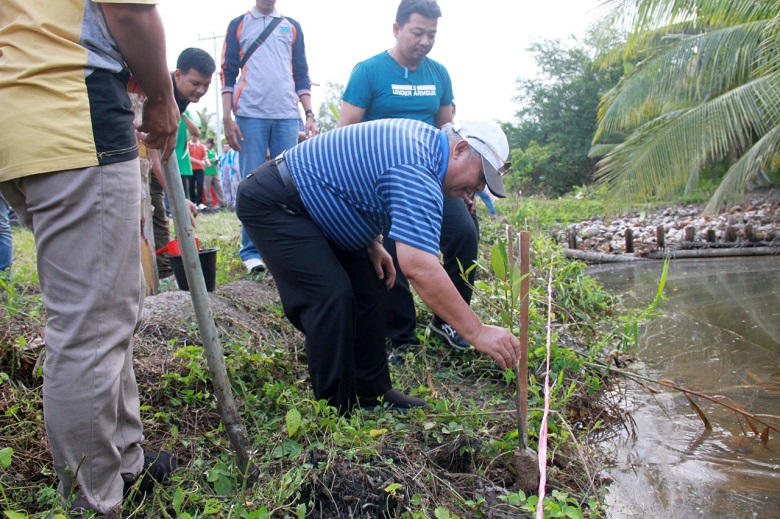 Menuju Indonesia Sejuk, Pemkab Tanjabbar Gandeng Petrochina Tanam Mangrove