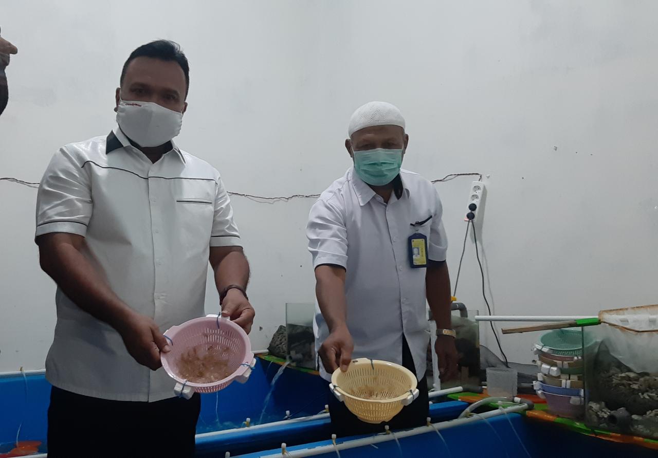 Ditreskrimsus Polda Jambi Gagalkan Penyelundupan Baby Lobster Senilai Rp 6,7 Miliar