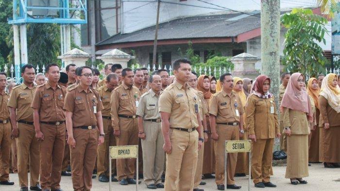 Pemkab Tanjab Barat Pastikan Tidak Membuka Penerimaan CPNS