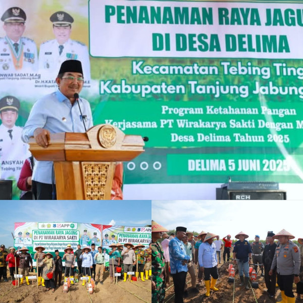 Bupati Tanjabbar Gelar Panen Raya Serta Penanaman Bibit Jagung di Kecamatan Tebing Tinggi 