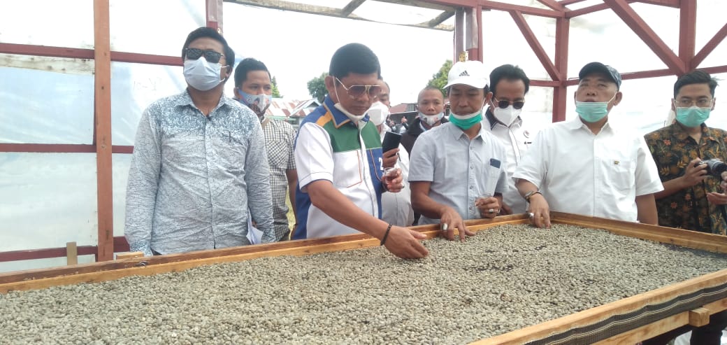 Cawagub Syafril Nursal Tinjau Produksi Kopi Arabika Kerinci