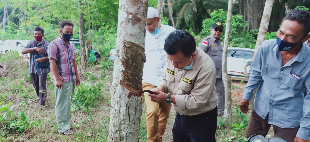 Bertemu Petani Karet, Al Haris: Untuk Catatan Saya Meningkatan Kesejahteraan Petani Karet