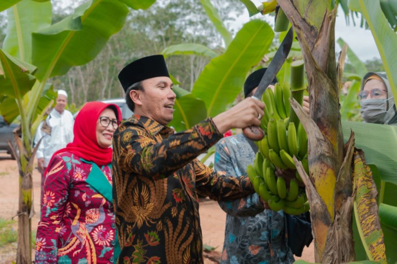 Ketua DPRD Edi Purwanto Bersama Anggota Komisi V DPR RI Panen Pisang