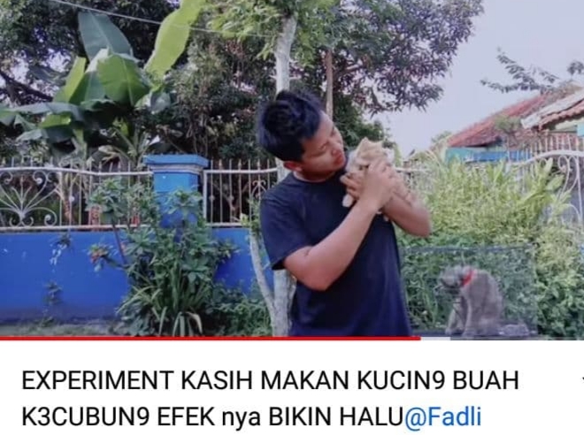 Pecinta Hewan Marah Atas Perlakuan Seorang Youtuber Beri Makan Kucing Pakai Kecubung