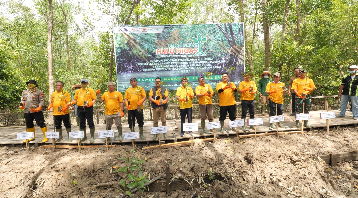 Dukung G20, SKK Migas - KKKS Tanam Ribuan Pohon Mangrove di Jambi