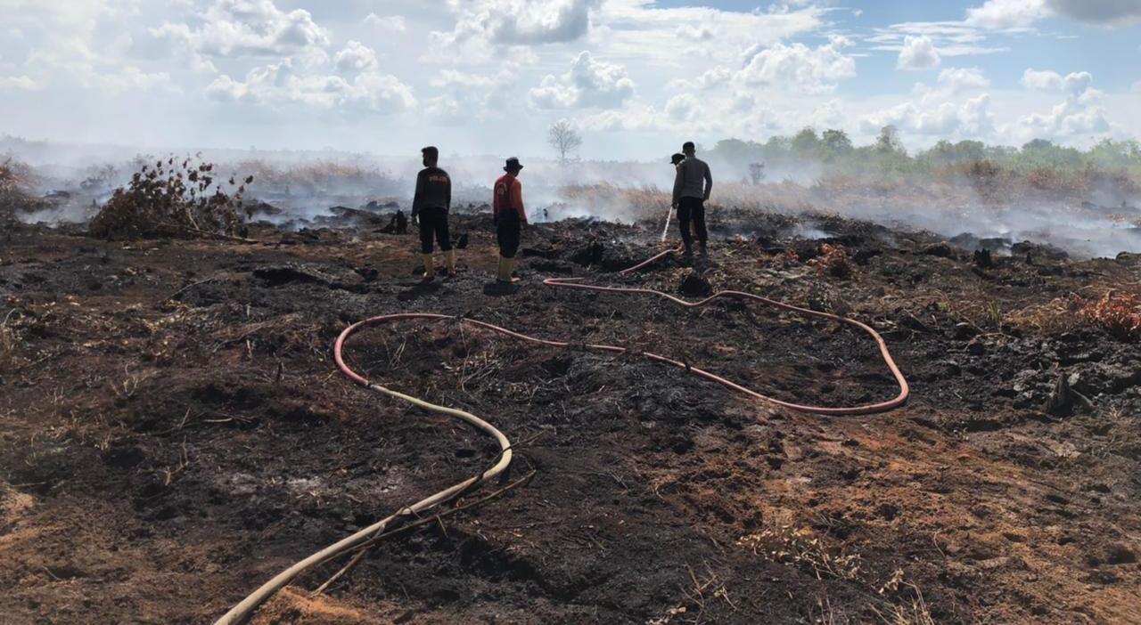 Puluhan Hektar Lahan di Tanjabtim Berhasil Dipadamkan