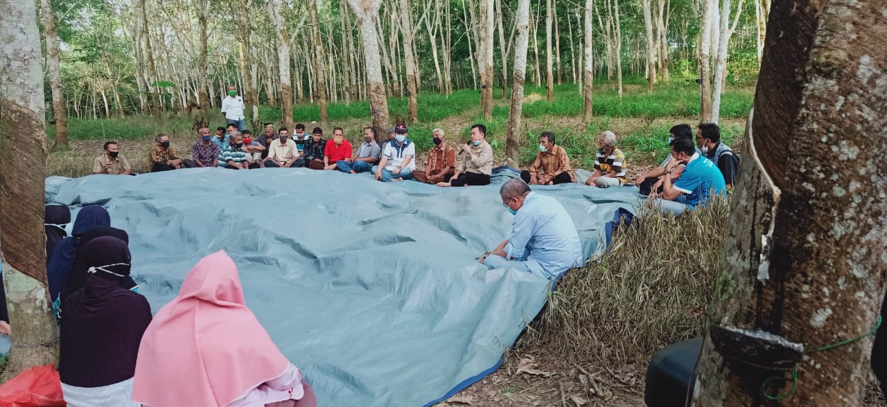 Dialog di Tengah Kebun Karet, Petani: Al Haris Membawa Solusi Untuk Petani Karet