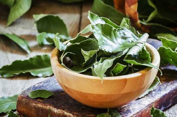 Ini Manfaat Memasak Nasi Pakai Daun Salam