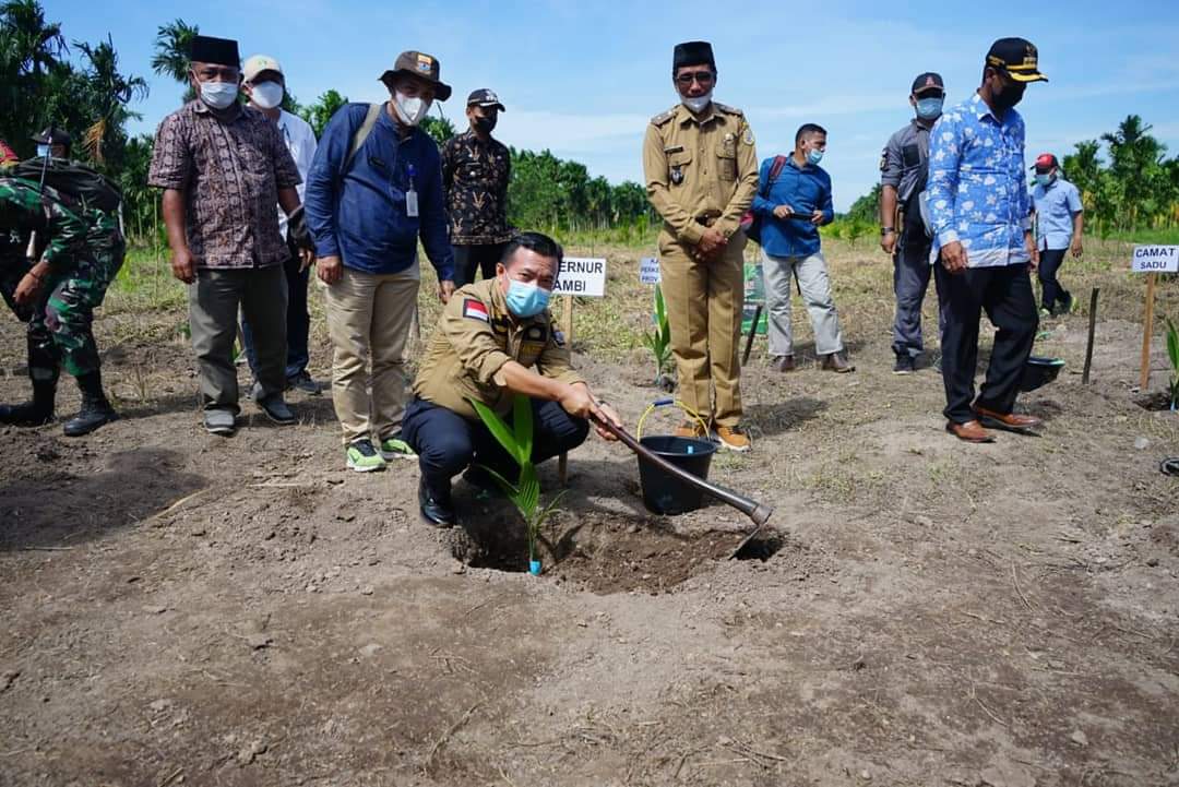 Perkuat Sektor Pertanian, Gubernur Jambi Tanam Pinang di Sadu