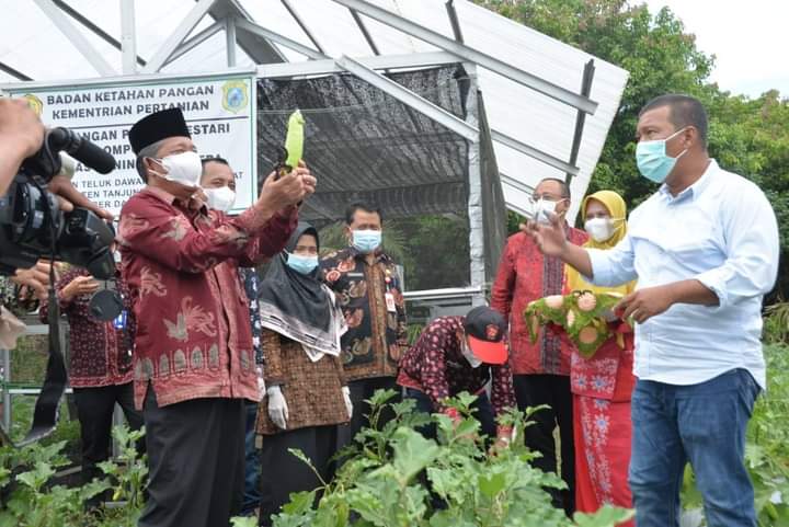 Kunjungi Kawasan Pangan Lestari, Wakil Gubernur Jambi bagi Sembako