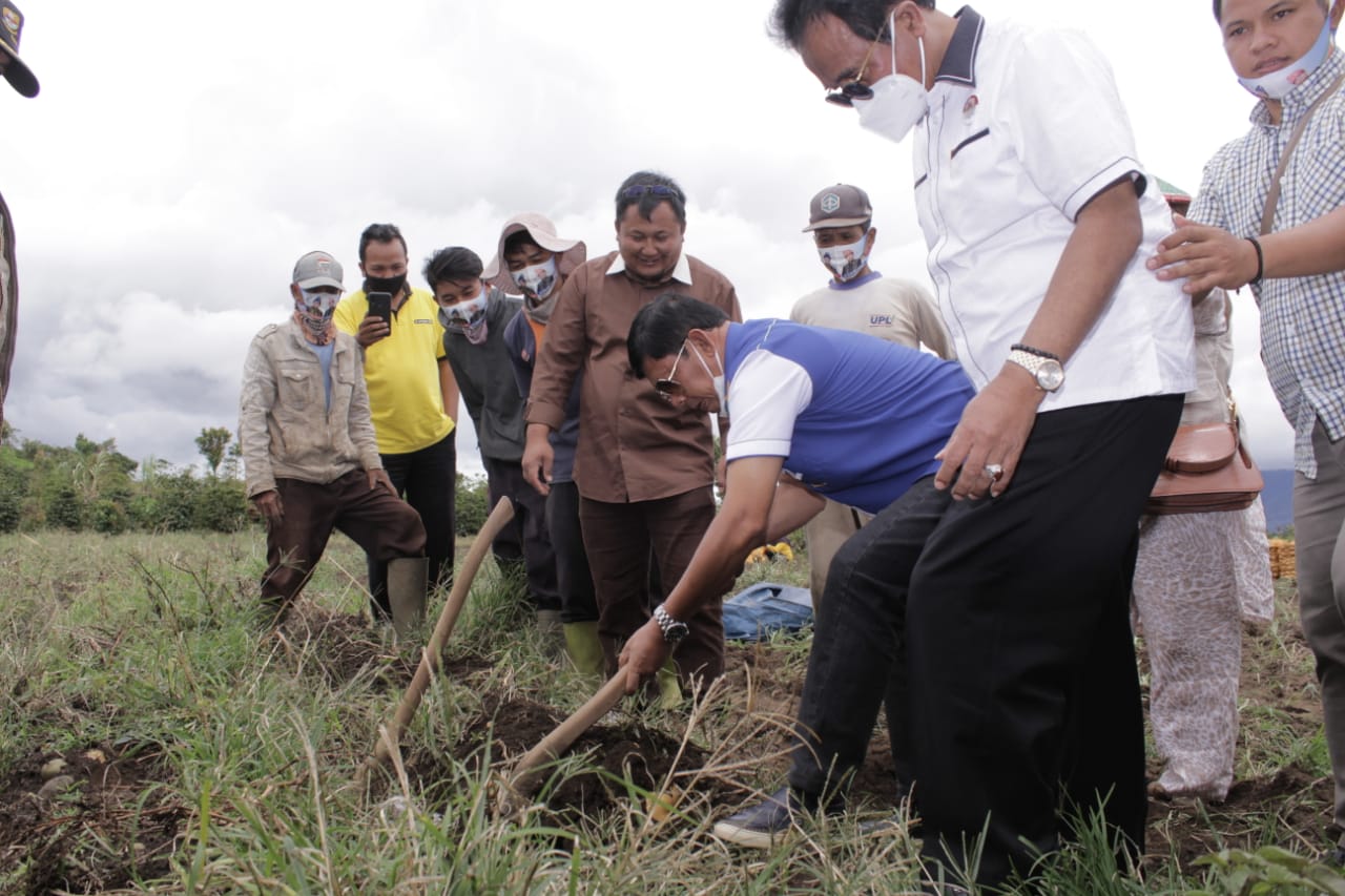 Kunjungi Petani Kentang Kayu Aro,  Cawagub Syafril Nursal Ingin Mendengar Langsung Persoalan Yang Dihadapi Petani 