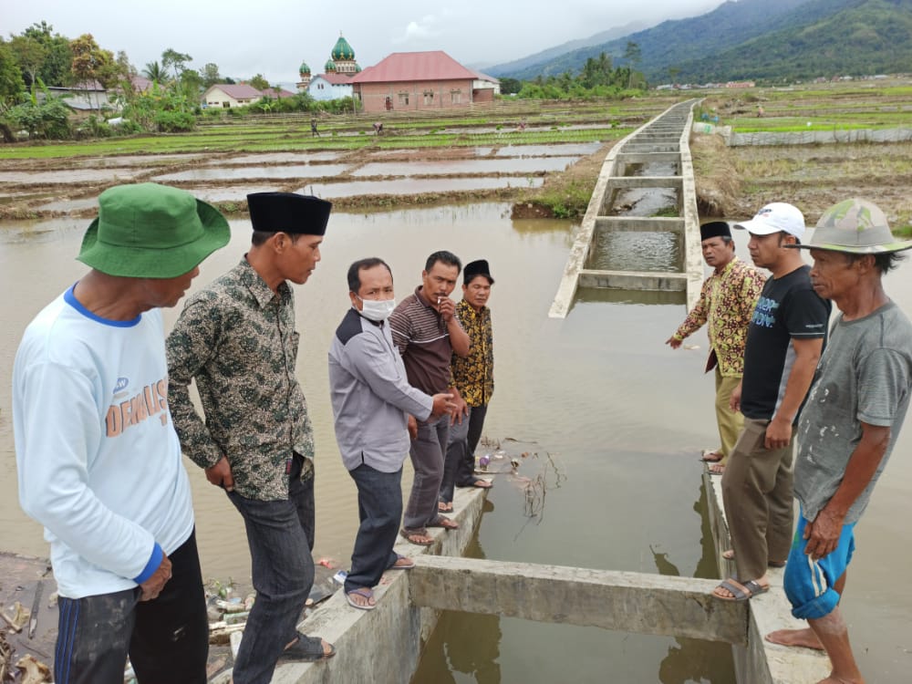 Bangunan Irigasi Jebol, Petani Kerinci Kesulitan Air Sawah