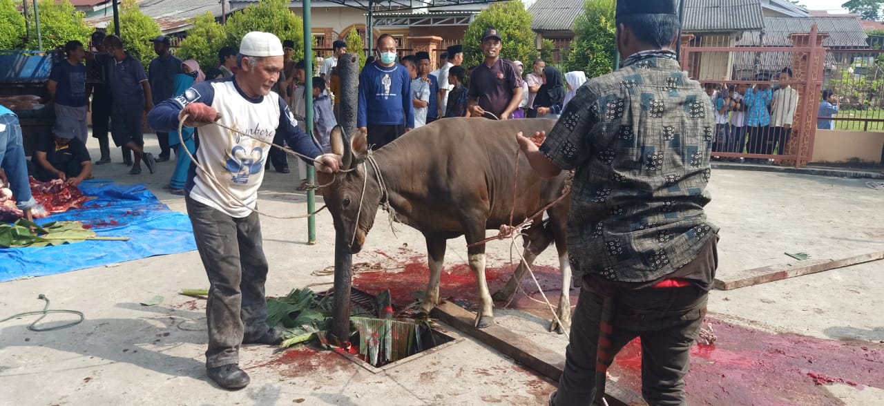 Warga Blok C Perumahan Aurduri Sembelih 10 Ekor Sapi dan 2 Kambing